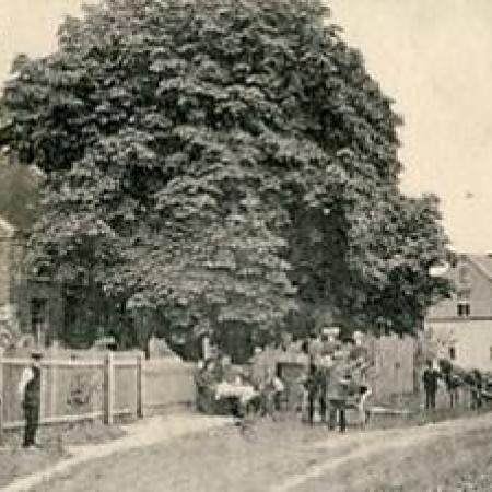 Größeres Bild anzeigen