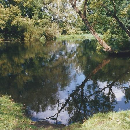 Größeres Bild anzeigen