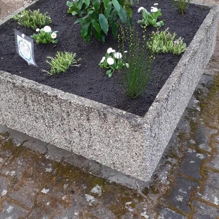 Größeres Bild anzeigen