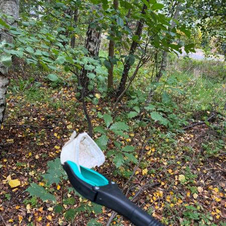 Größeres Bild anzeigen