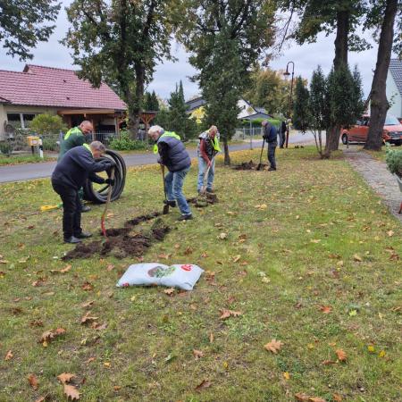 Größeres Bild anzeigen