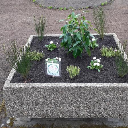 Größeres Bild anzeigen