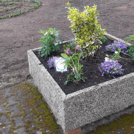 Größeres Bild anzeigen