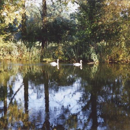 Größeres Bild anzeigen