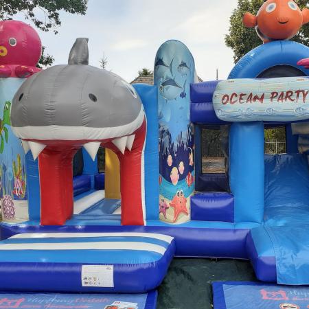 Größeres Bild anzeigen